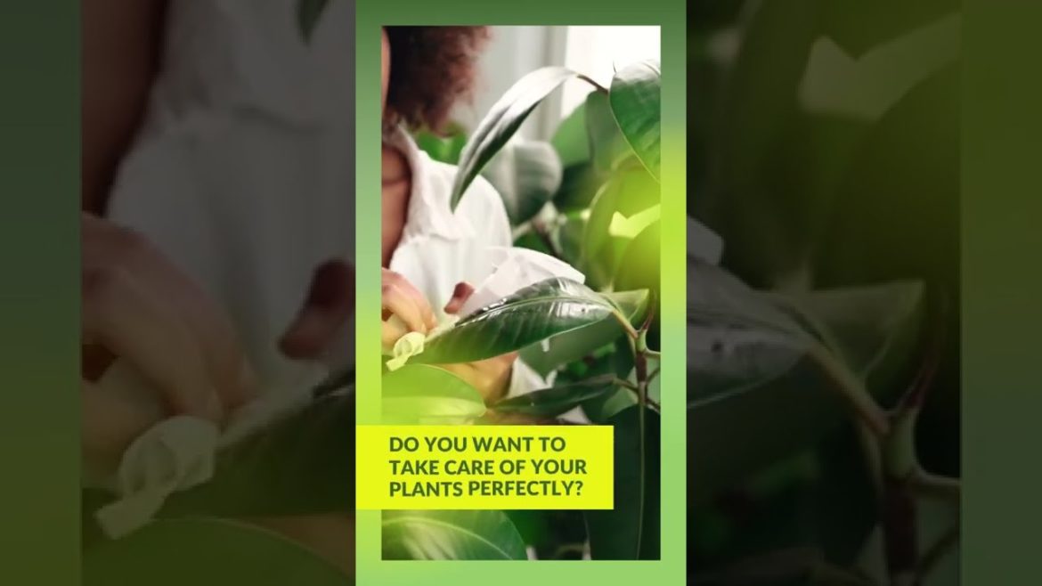 🌱 Gardening Tips - Secrets of Gardener 🌱