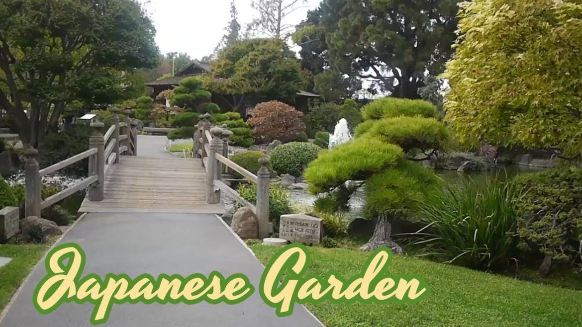Japanese Garden and Restaurant @ San Mateo CA