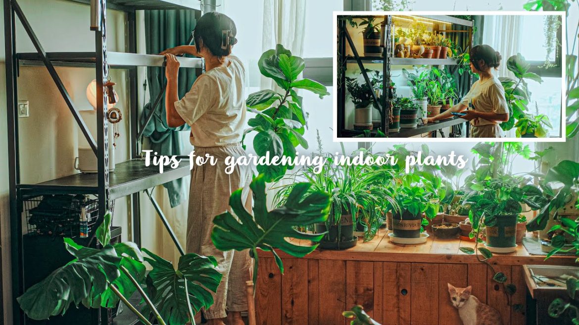 Sub) My Houseplant Grow Lights & Setup | DIY Plant Shelf With LED Lighting | Gardening Tips