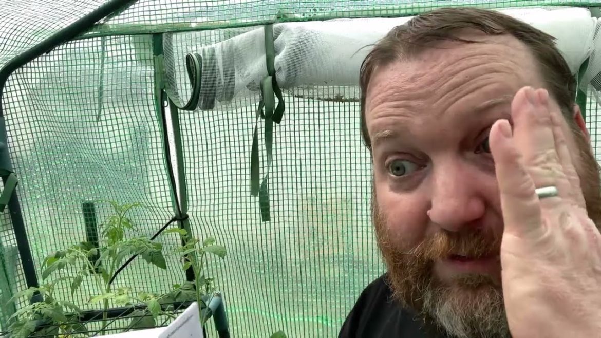 Food Shortage 2022 Food Shortage 2022