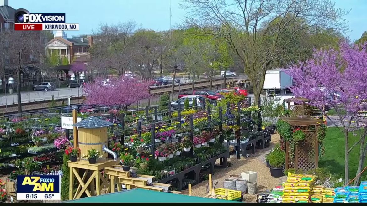 Fox10 Phoenix Az AM: Summer Garden Tips 4/16/21