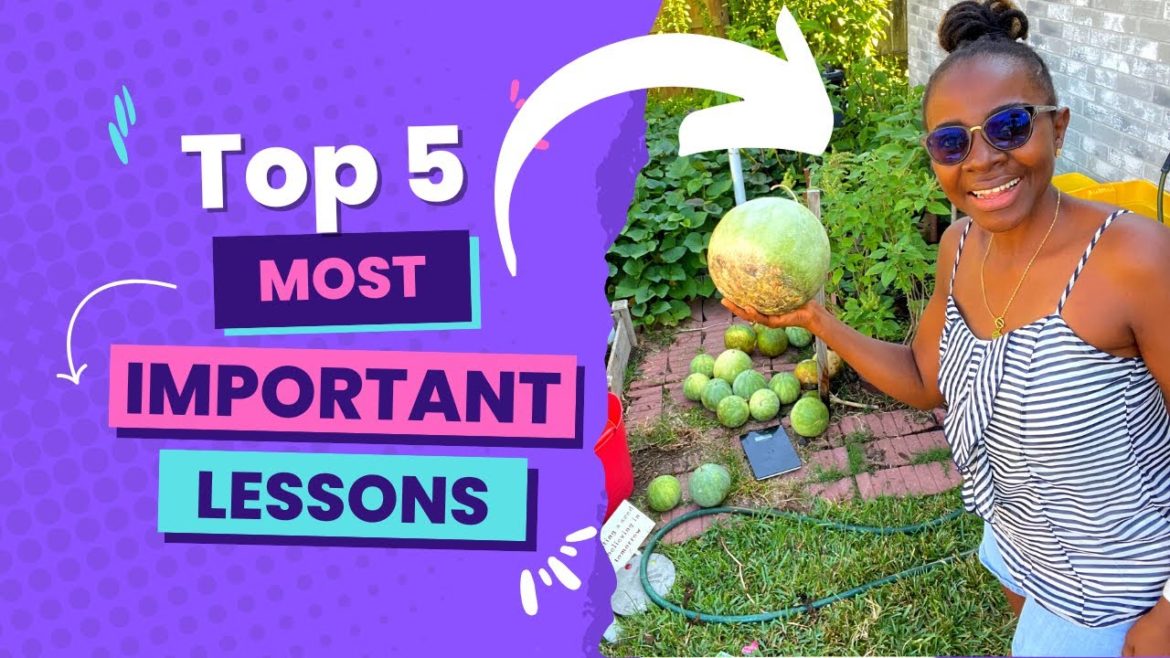 5 IMPORTANT Lessons I Learned Growing the African Egusi Melon in My Backyard Garden Zone 9a 5 IMPORTANT Lessons I Learned Growing the African Egusi Melon in My Backyard Garden Zone 9a