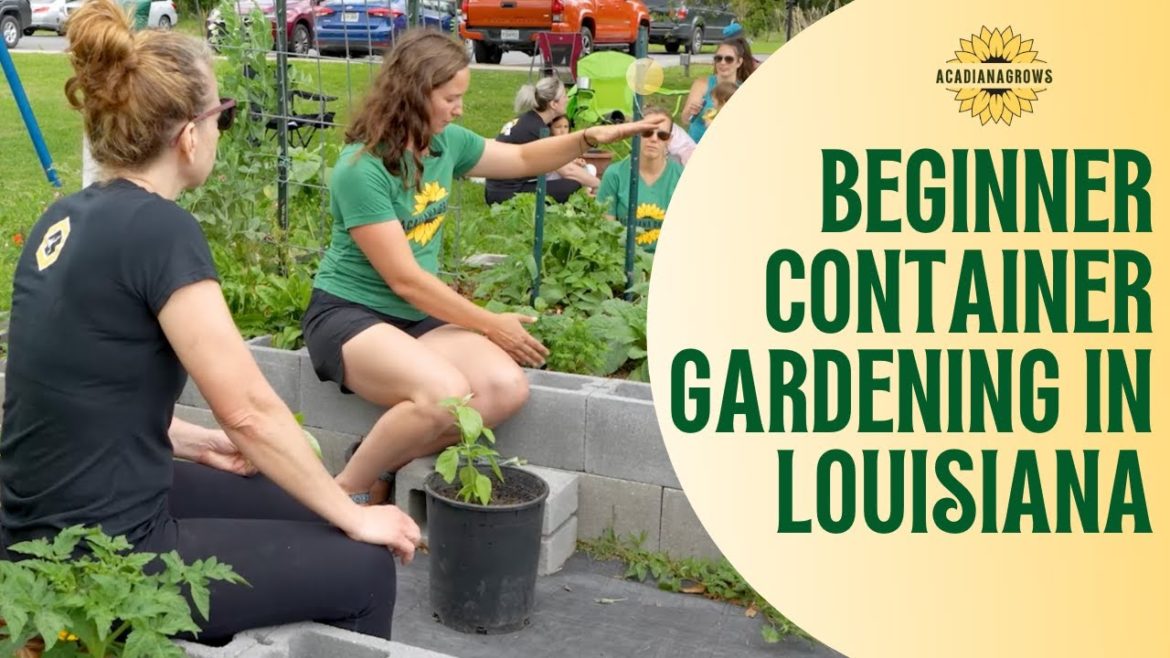 Beginner Container Gardening in Louisiana Class