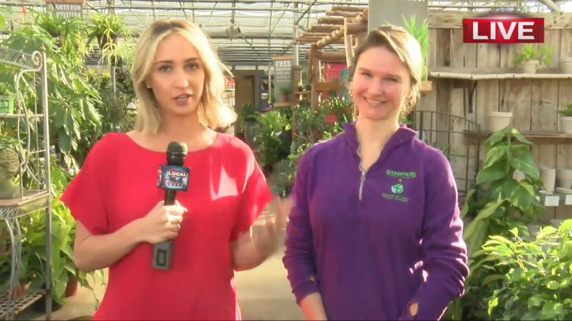 Spring garden tips to get you ready, pt. 3 Spring garden tips to get you ready, pt. 3