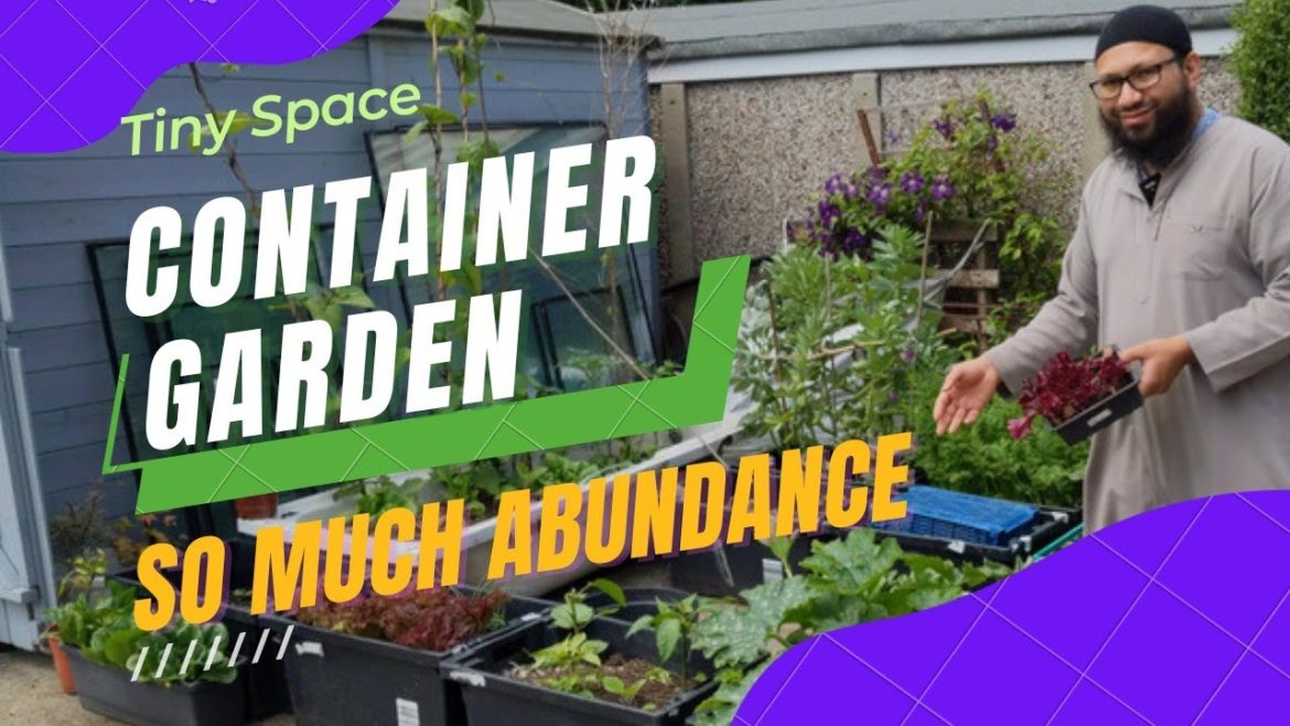 Abundance In Small Spaces, Massively Productive Container Garden – Container Gardening Abundance In Small Spaces, Massively Productive Container Garden - Container Gardening