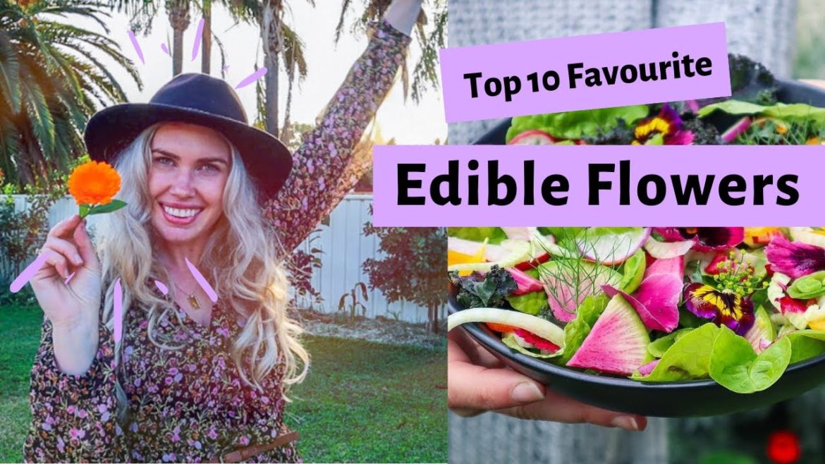 Top 10 Best EDIBLE FLOWERS // The Secret to making Magical Food // Urban Permaculture Garden