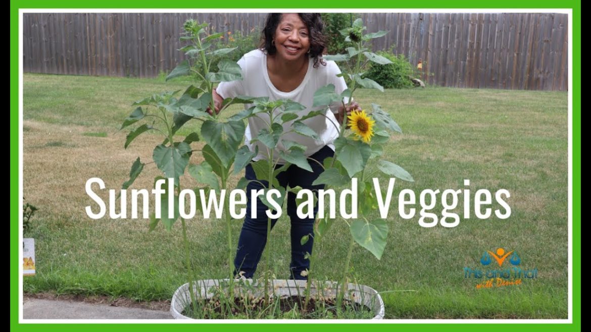 Container Garden with Sunflowers and Vegetables | Container Gardening Ideas Container Garden with Sunflowers and Vegetables | Container Gardening Ideas