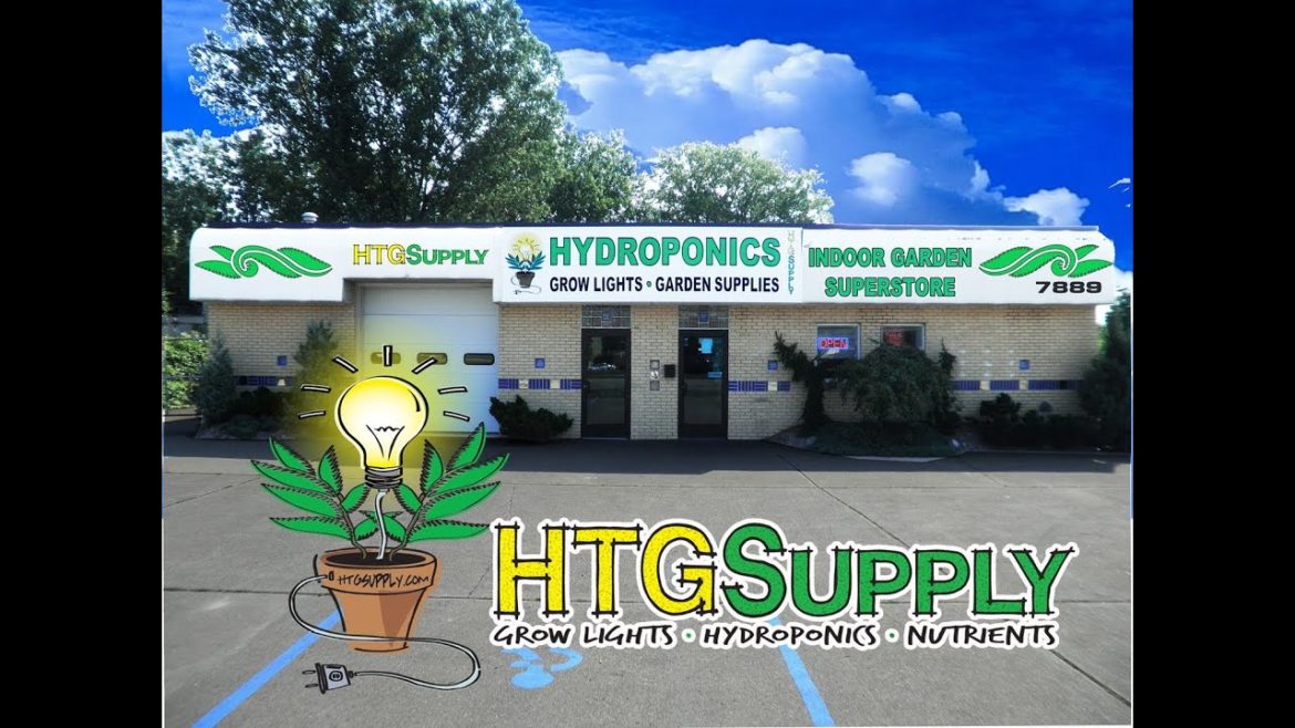 HTGSupply TAYLOR MICHIGAN GROW LIGHTS STORE HYDROPONICS DETROIT HTG SUPPLY MI HTGSupply TAYLOR MICHIGAN GROW LIGHTS STORE HYDROPONICS DETROIT HTG SUPPLY MI