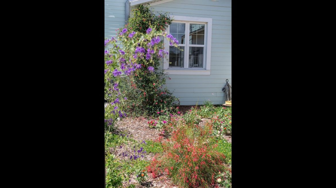 Small Ornamental and Edible Garden