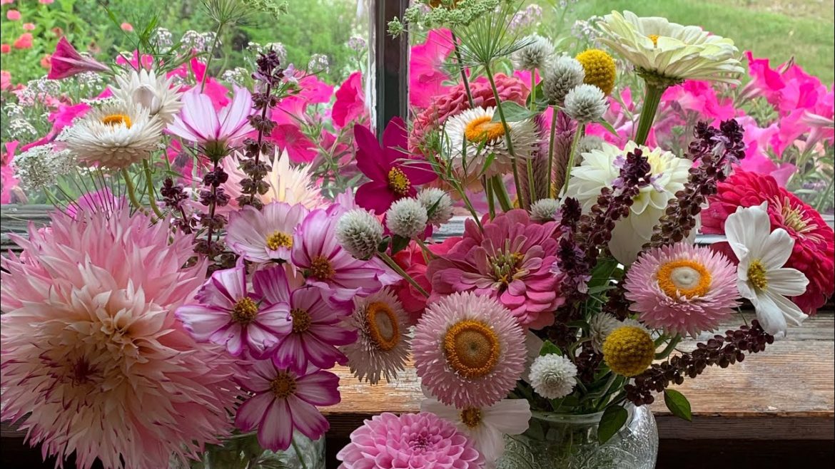 WEEKLY FRONT YARD GARDEN TOUR 🌸peaceful, nature sounds🌸close ups of hydrangeas and more WEEKLY FRONT YARD GARDEN TOUR 🌸peaceful, nature sounds🌸close ups of hydrangeas and more