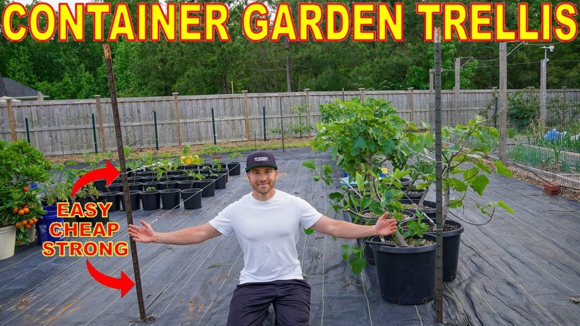 The BEST Container Garden Trellis Ever! Complete DIY Install Guide