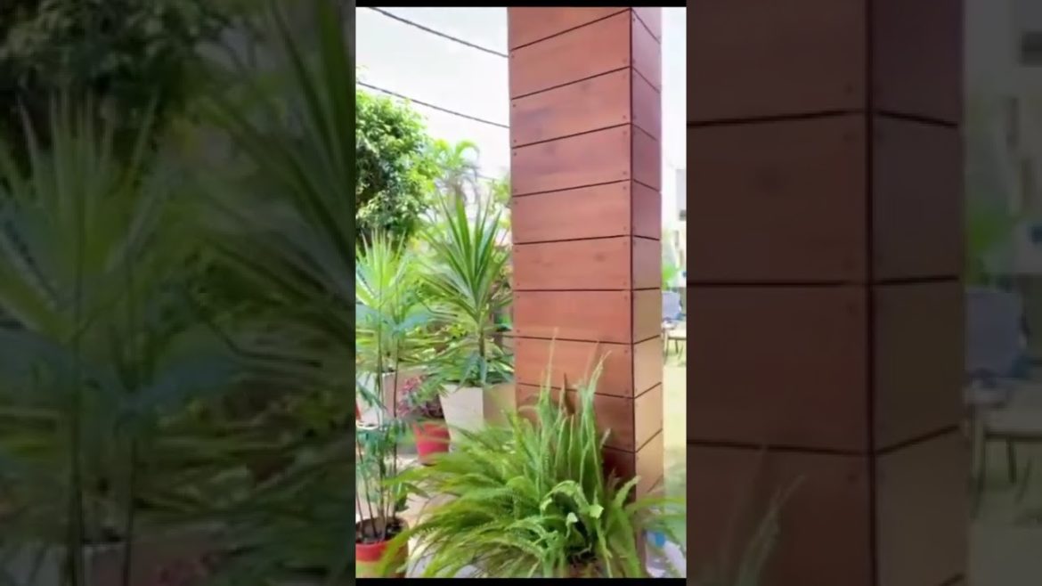 Garden Design, Home Garden #356 Simple New Viral Video,#Shorts Garden Design, Home Garden #356 Simple New Viral Video,#Shorts