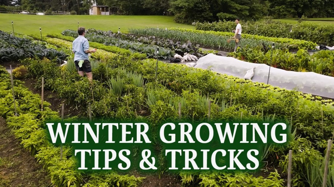 Tips & Tricks to Winter Growing | Blue Goose x Lee Valley Tips & Tricks to Winter Growing | Blue Goose x Lee Valley