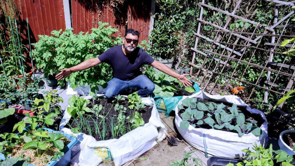 Gardening Tips & Ideas for growing vegetables in raised garden bed