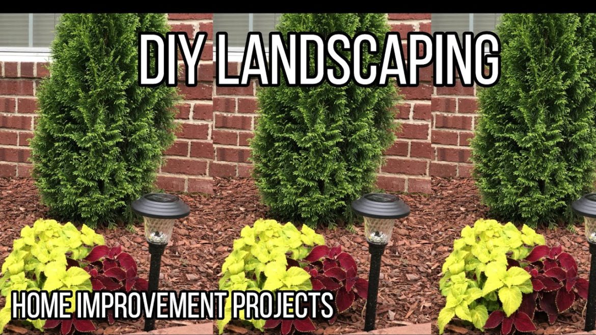 Front Yard Landscaping Ideas 2020 | Home Improvements during Quarantine