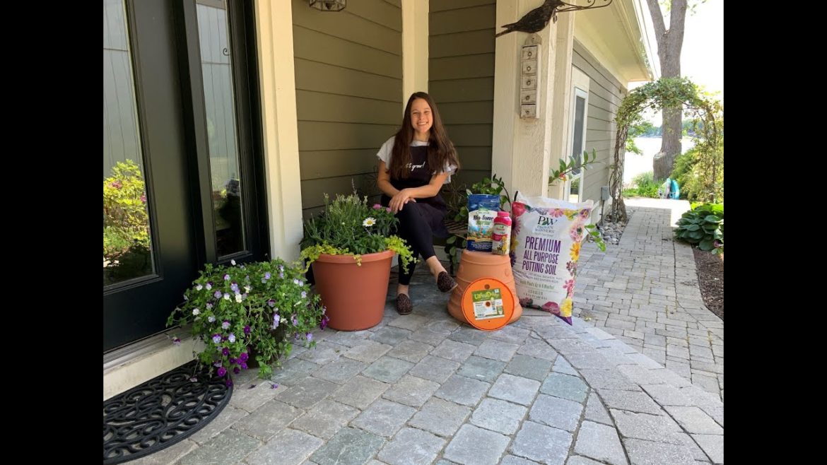 Let's Grow: Pollinator Container Garden ENGLISH GARDENS Let's Grow: Pollinator Container Garden ENGLISH GARDENS