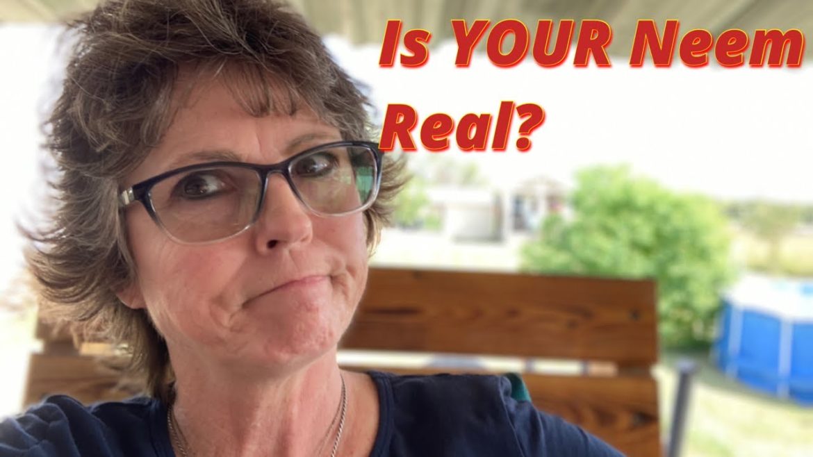 The truth about Neem oil. What YOU need to know!