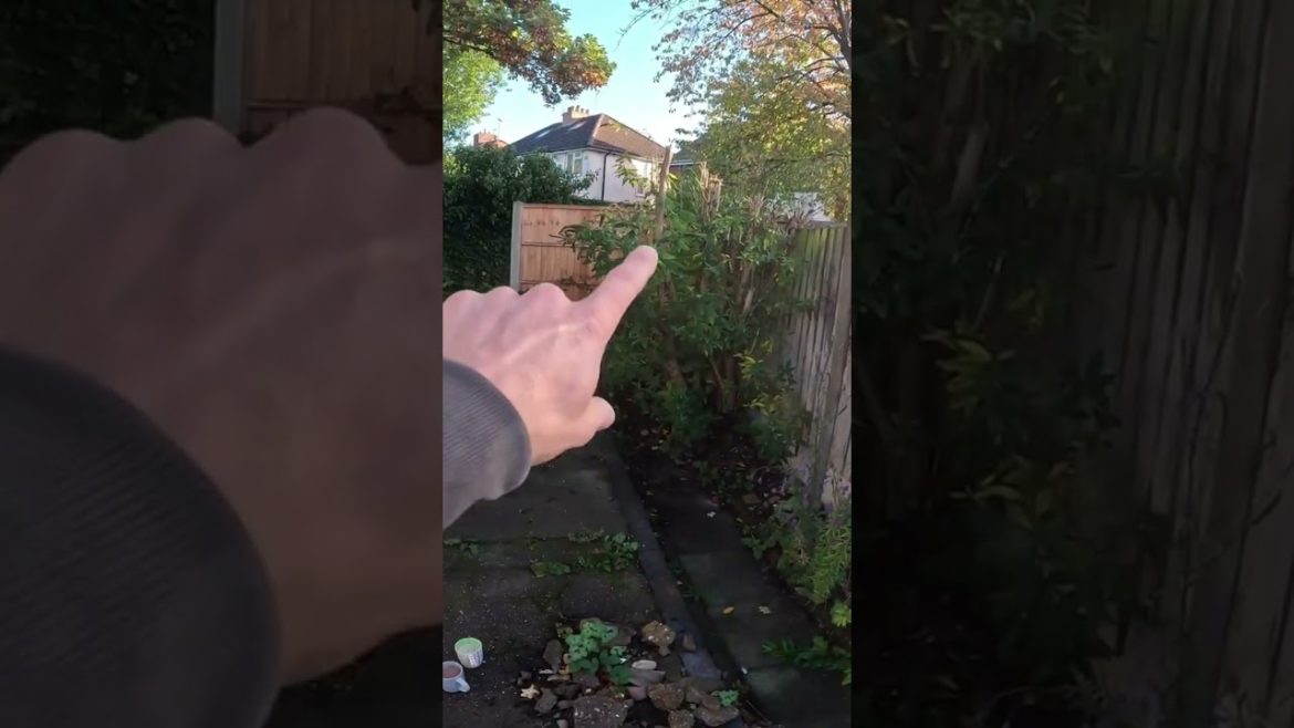timelaspe of landscaping project @djs waterscapes and landscaping #garden #design #timelapse