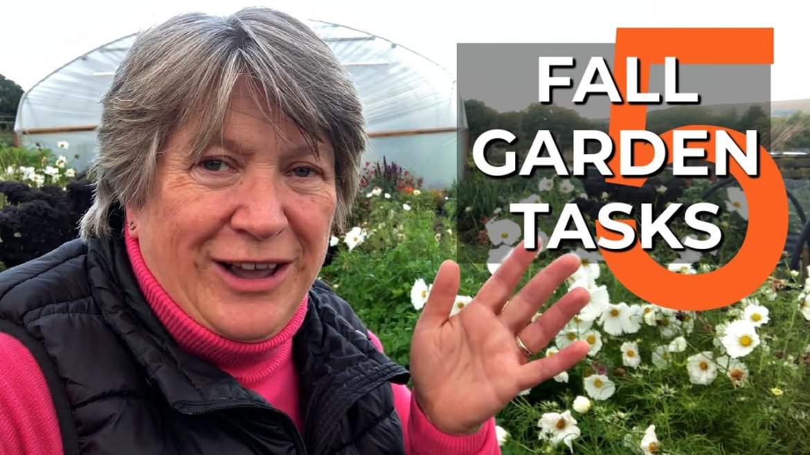 Fall tasks for a Great Garden Next Year | Autumn Gardening Fall tasks for a Great Garden Next Year | Autumn Gardening