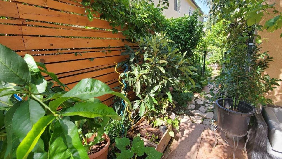 BACK YARD Garden Tour | Urband Edible Landscape | My Food Forest | Container Gardening | Spring 2020