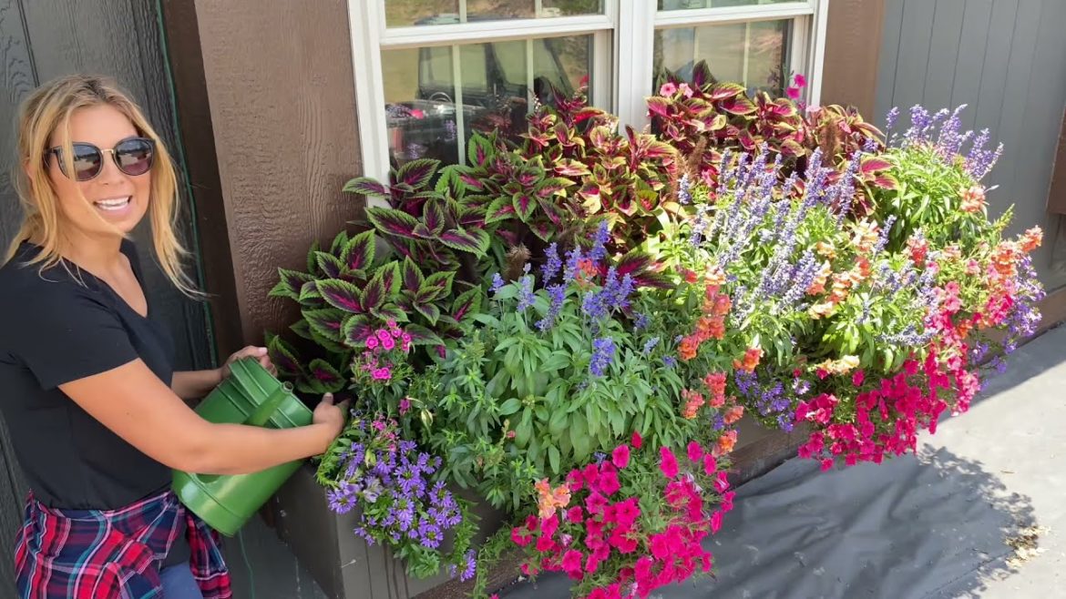 How We Maintain, Water, Fertilize and Pinch our Window Boxes | Container Gardening Tips