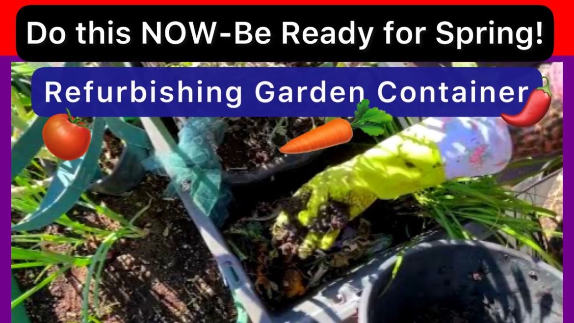 How To Amend & Refresh Container Garden Soil for Planting Vegetables & COMPOST in Place Gardening