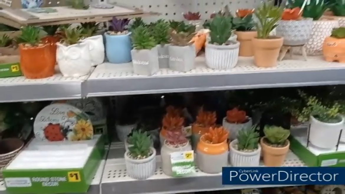 Dollar General Garden Supplies and Sam's Club Haul ~ momlife Dollar General Garden Supplies and Sam's Club Haul ~ momlife