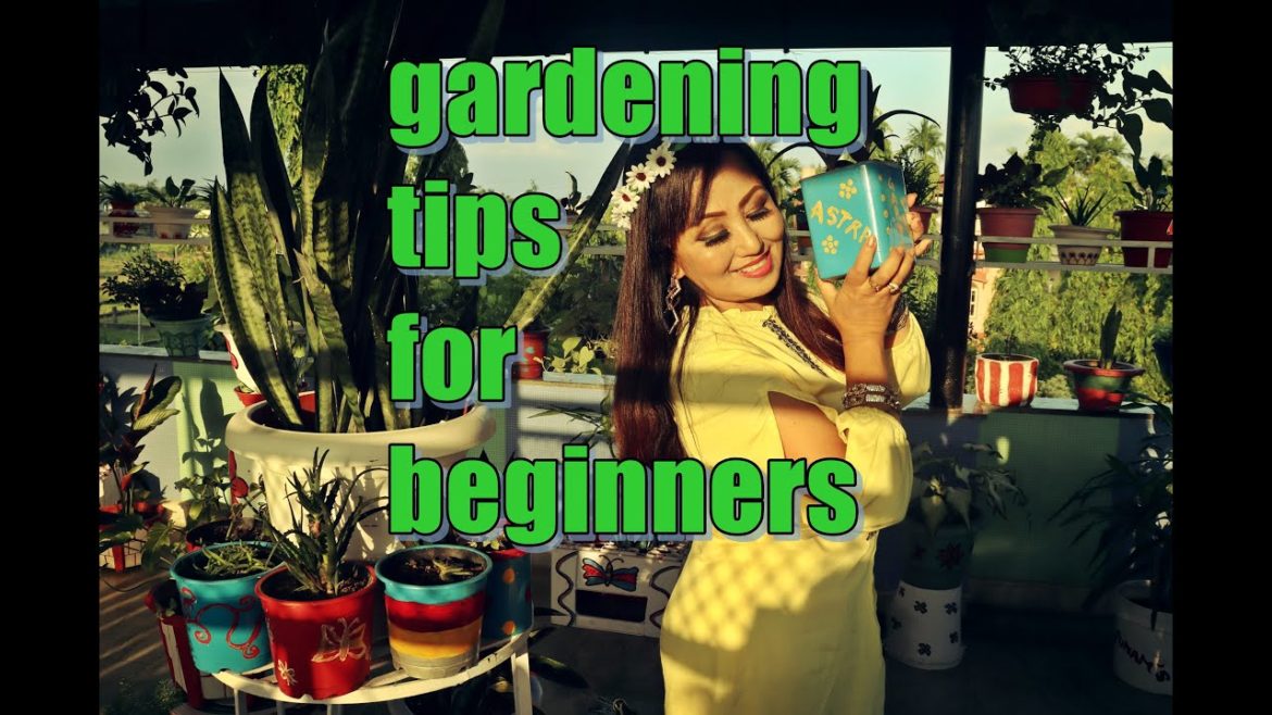 Gardening tips for beginners Gardening tips for beginners