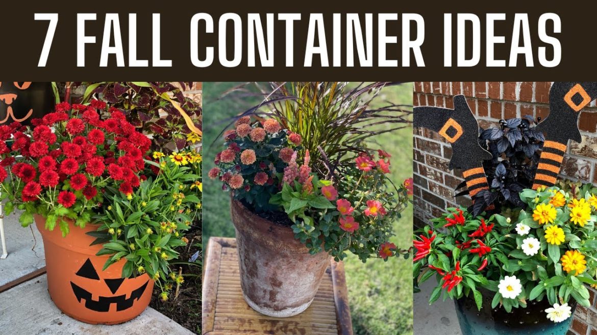 7 Fall Container Ideas 🍁🍂 || Container Gardening || Fall Planter Ideas || Fall Garden || Zone 8