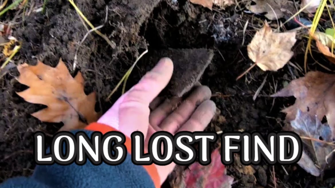 Metal Detecting 🪓