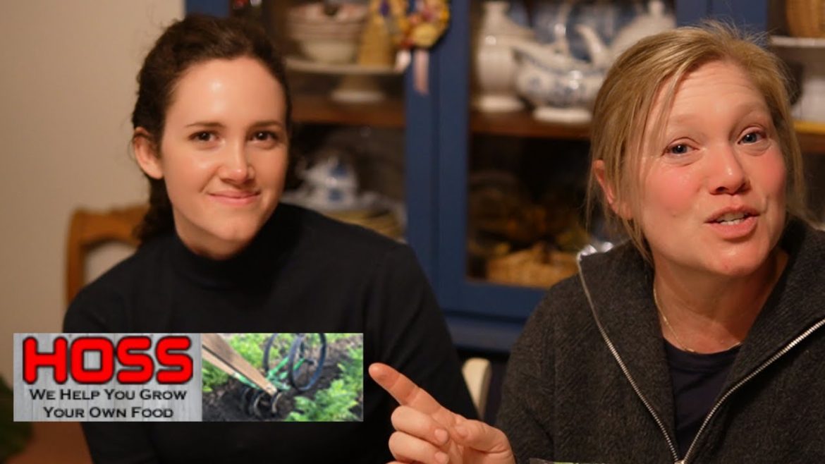 Let's Talk About Our New Garden Plans! It's A Blank Slate and A Big Tackle, Can We Do It?