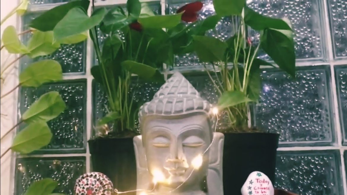 Zen Garden/indoor garden/cozy corner makeover