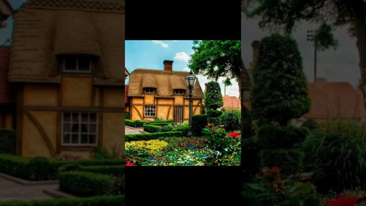 Landscape Desing ideas Best ideas for  garden and landscape #230 #shorts 59