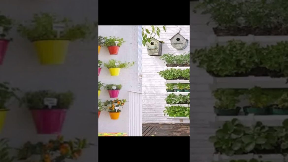 Landscape Desing ideas Best ideas for  garden and landscape #230 #shorts 49