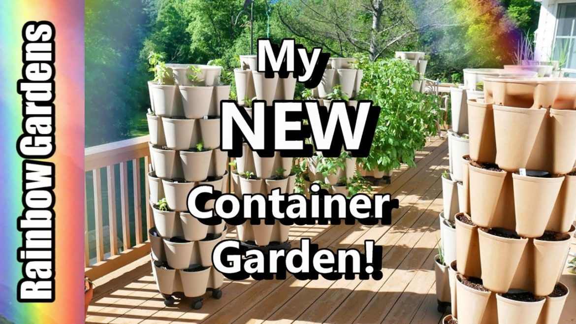 My NEW Container Garden!! Tour the New Garden with Me & Chicken Update! Greenstalks too! My NEW Container Garden!! Tour the New Garden with Me & Chicken Update! Greenstalks too!