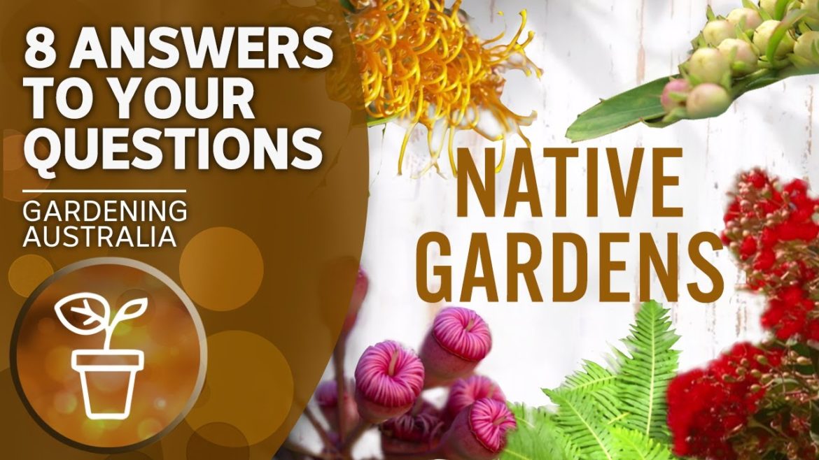 Tips for native gardens | Your questions, our answers | Gardening Australia Tips for native gardens | Your questions, our answers | Gardening Australia