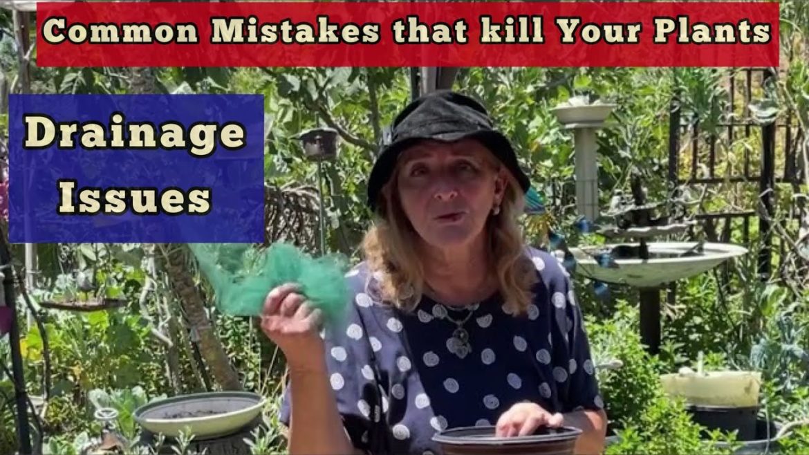 Container Gardening TIPS How to FIX Drainage Issues in Totes Then GROW TONS of FOOD Vertical Garden Container Gardening TIPS How to FIX Drainage Issues in Totes Then GROW TONS of FOOD Vertical Garden