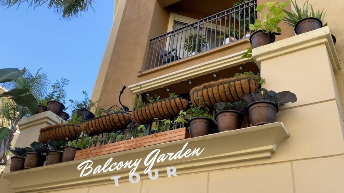 Edible Garden Tour | Apartment Balcony