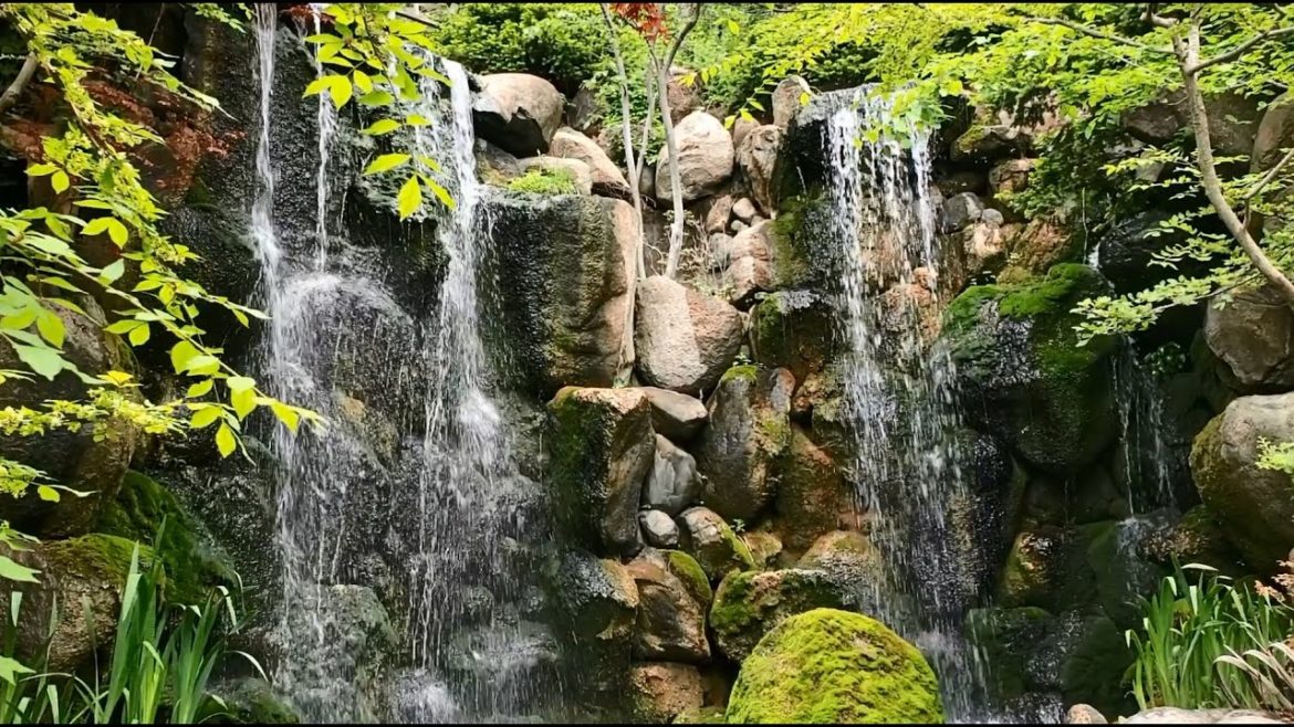 Anderson Japanese Gardens, Rockford