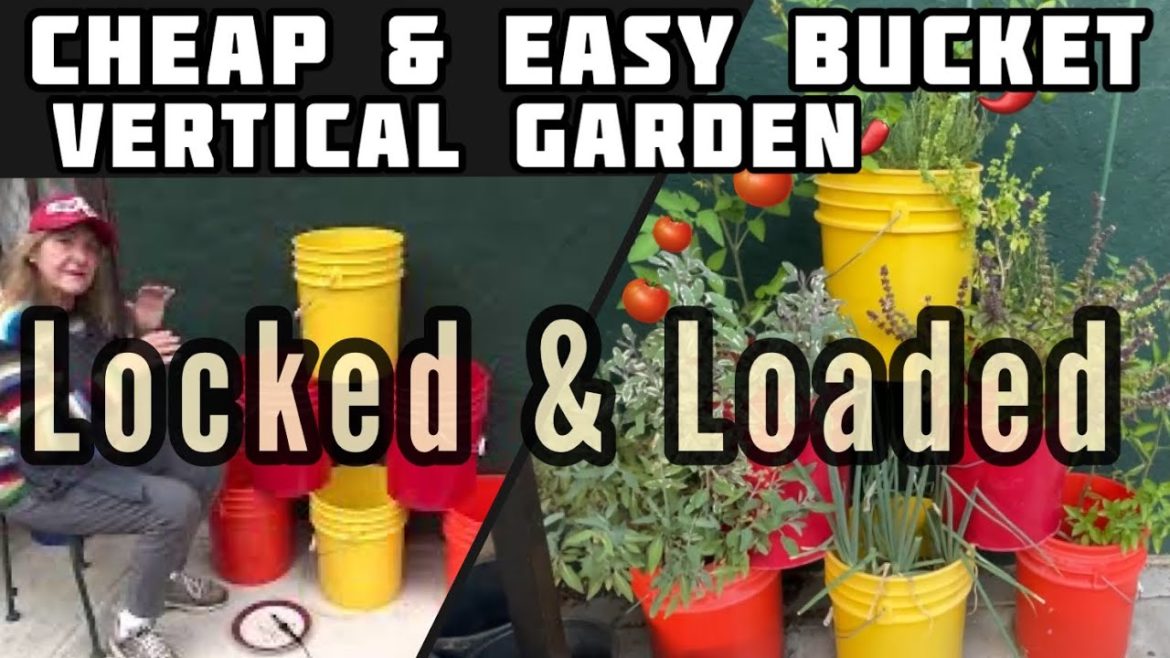 How to Grow Container Garden Cheap in Buckets Vertical Gardening Food w/Self Water System Raised-bed