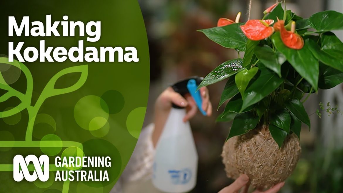 How to make a Kokedama | Indoor plants | Gardening Australia How to make a Kokedama | Indoor plants | Gardening Australia