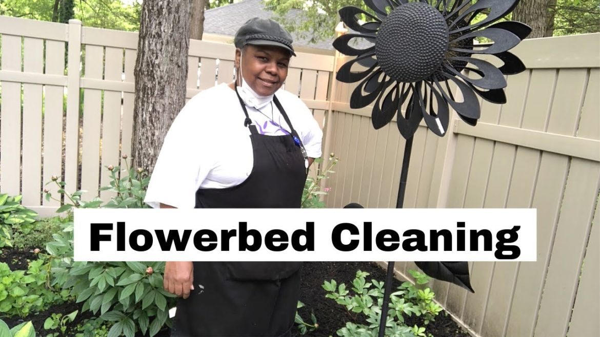 Flowerbed Cleanup – Backyard Landscape Cleaning Flowerbed Cleanup - Backyard Landscape Cleaning