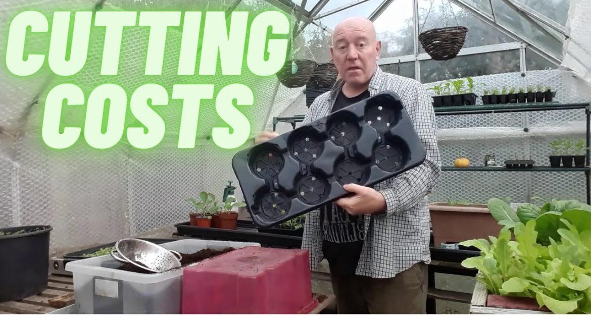 Cutting Costs [Gardening Allotment UK] [Grow Vegetables At Home ]