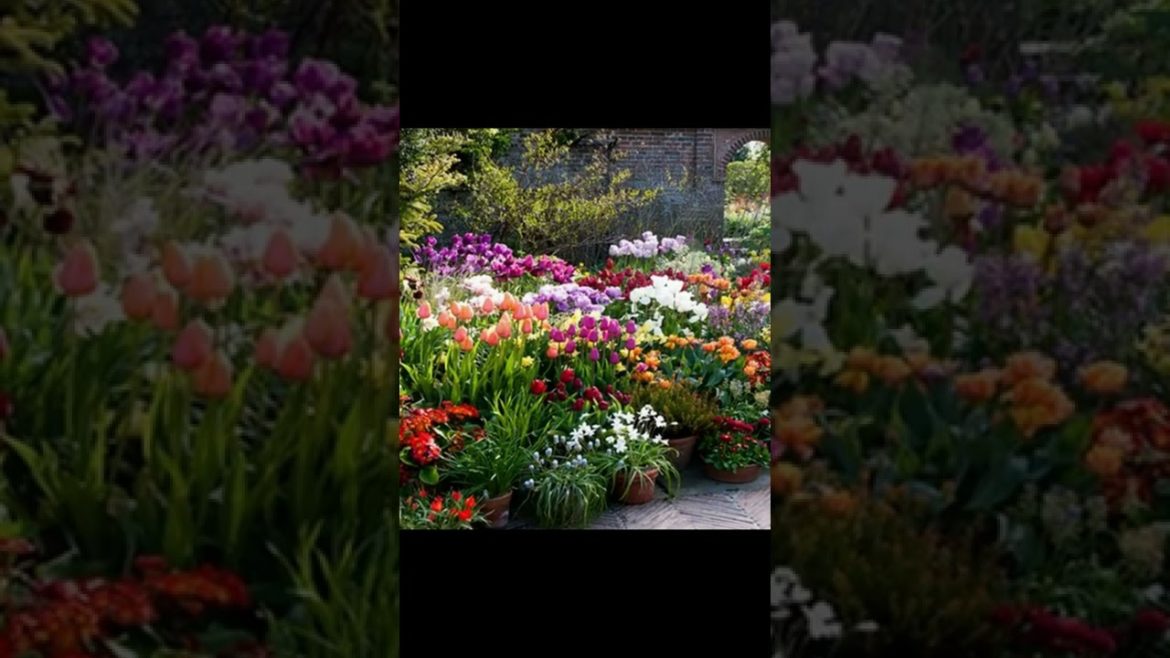 Landscape Desing ideas Best ideas for  garden and landscape #230 #shorts 54