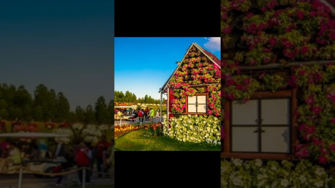 Landscape Desing ideas Best ideas for  garden and landscape #230 #shorts 65