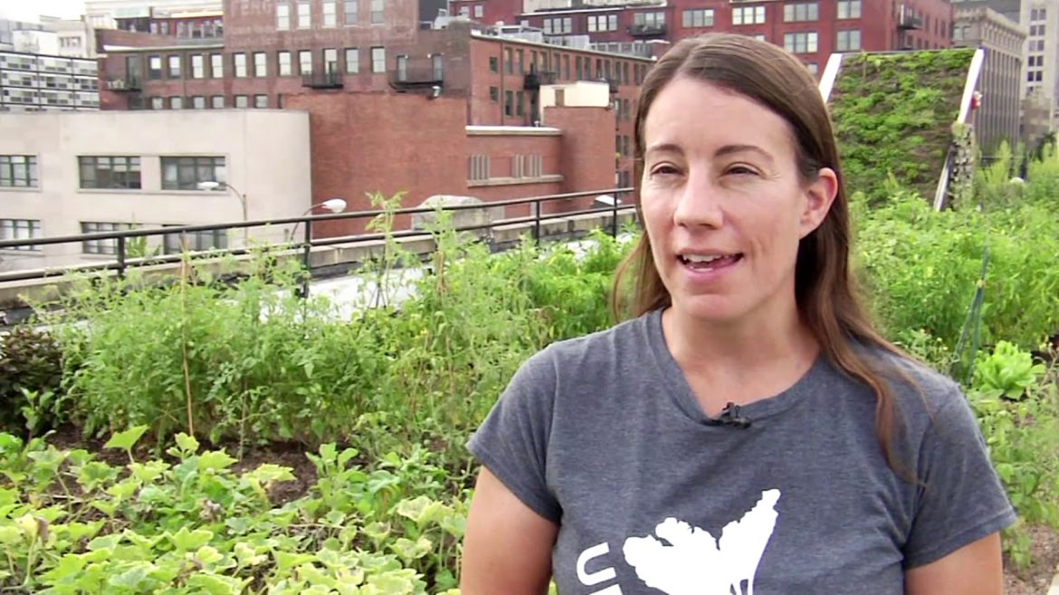Vertical Gardening at UrbanHarvest STL – Food Roof Vertical Gardening at UrbanHarvest STL - Food Roof