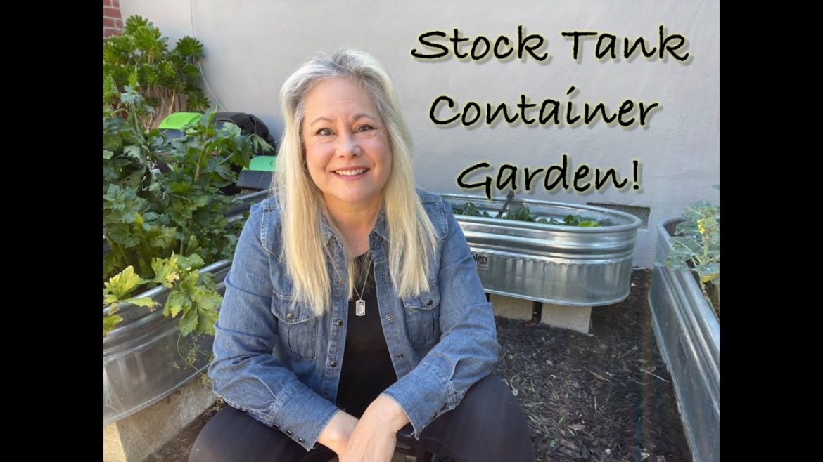 Stock Tank Container Garden! Simple DIY!  Stock Tank Container Garden! Simple DIY! 