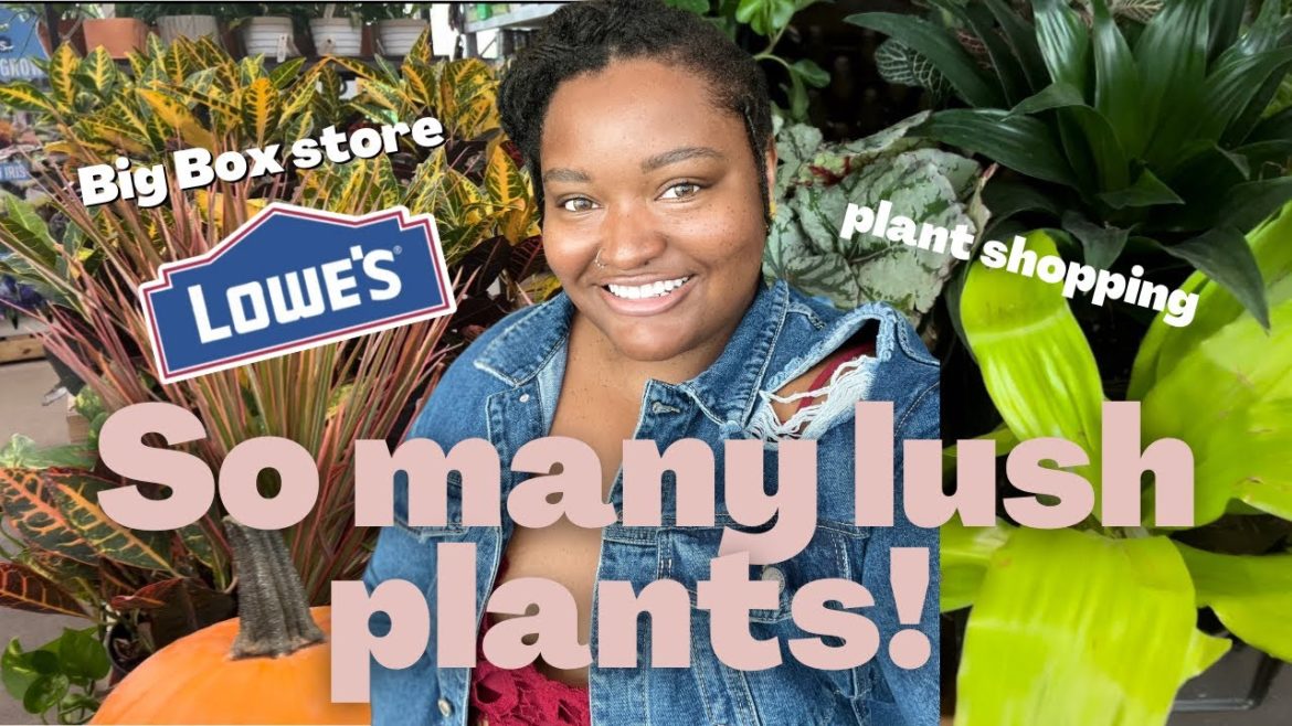 PLANT SHOPPING | big box plant shopping + Pothos +Monsteras + Philodendrons