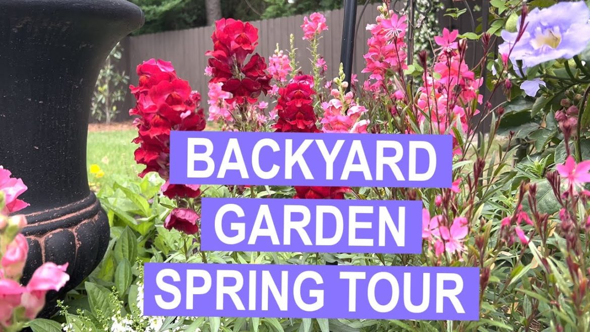 Backyard Garden Spring Tour at the Garden Office Backyard Garden Spring Tour at the Garden Office
