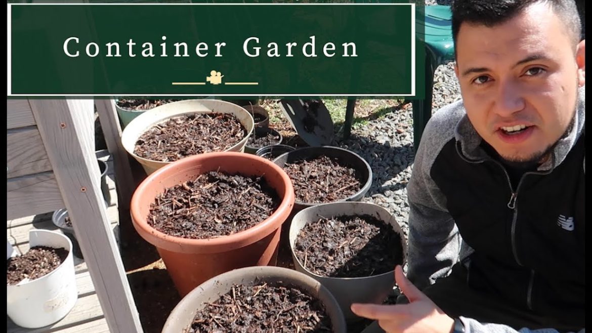 Container Gardening: Grow Food in Zone 7